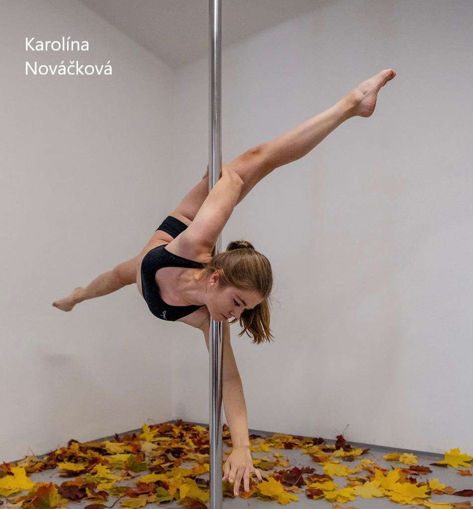 pole