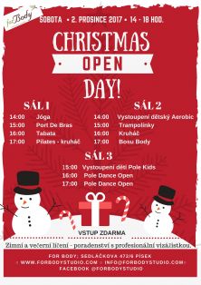 Christmas Open Day