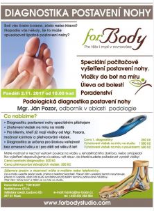 Diagnostika plosky nohy - Písek
