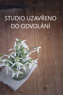 STUDIO STÁLE ZAVŘENO DO ODVOLÁNÍ .....