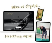 NĚCO SE CHYSTÁ .....