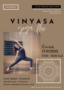 VINYASA joga flow s Hankou Brestovanskou