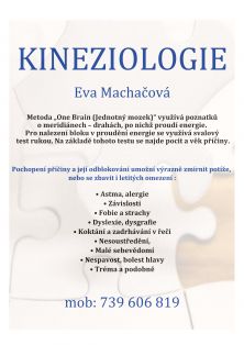 KINEZIOLOGIE