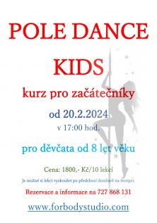 Otevíráme nový kurz POLE KIDS pro začátečníky