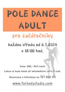 POLE ADULT pro začátečníky